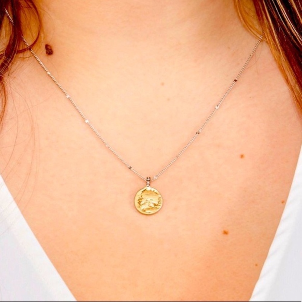 Mini coin pendant necklace NWT